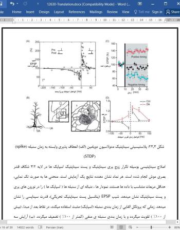 دانلود مقاله محاسبات مربوط به انتخاب مدار نورونی