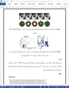 11376-IranArze