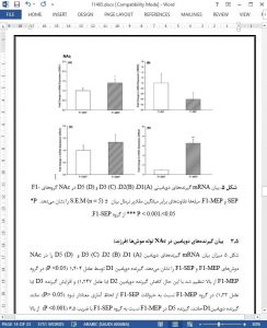 11465-IranArze1